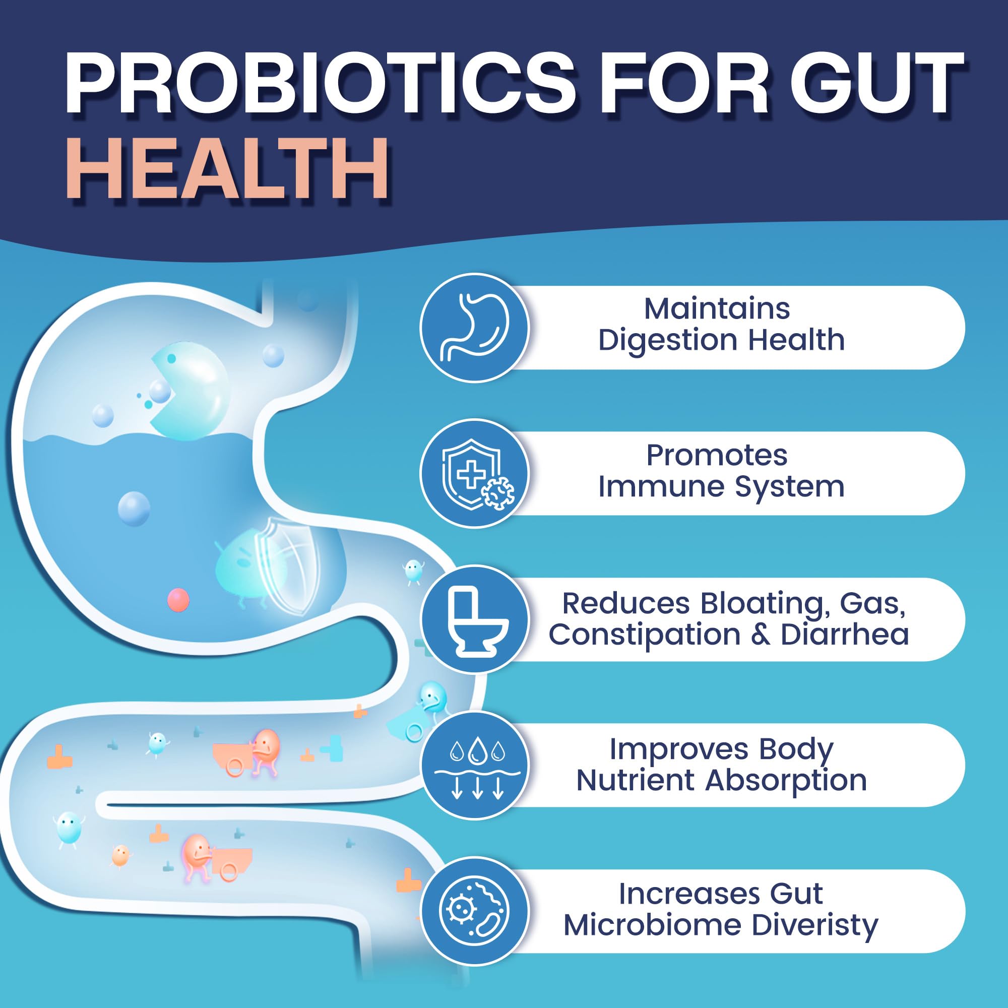 Close-up of Nature Target Probiotics label highlighting 60B CFU and 7 soil-based strains