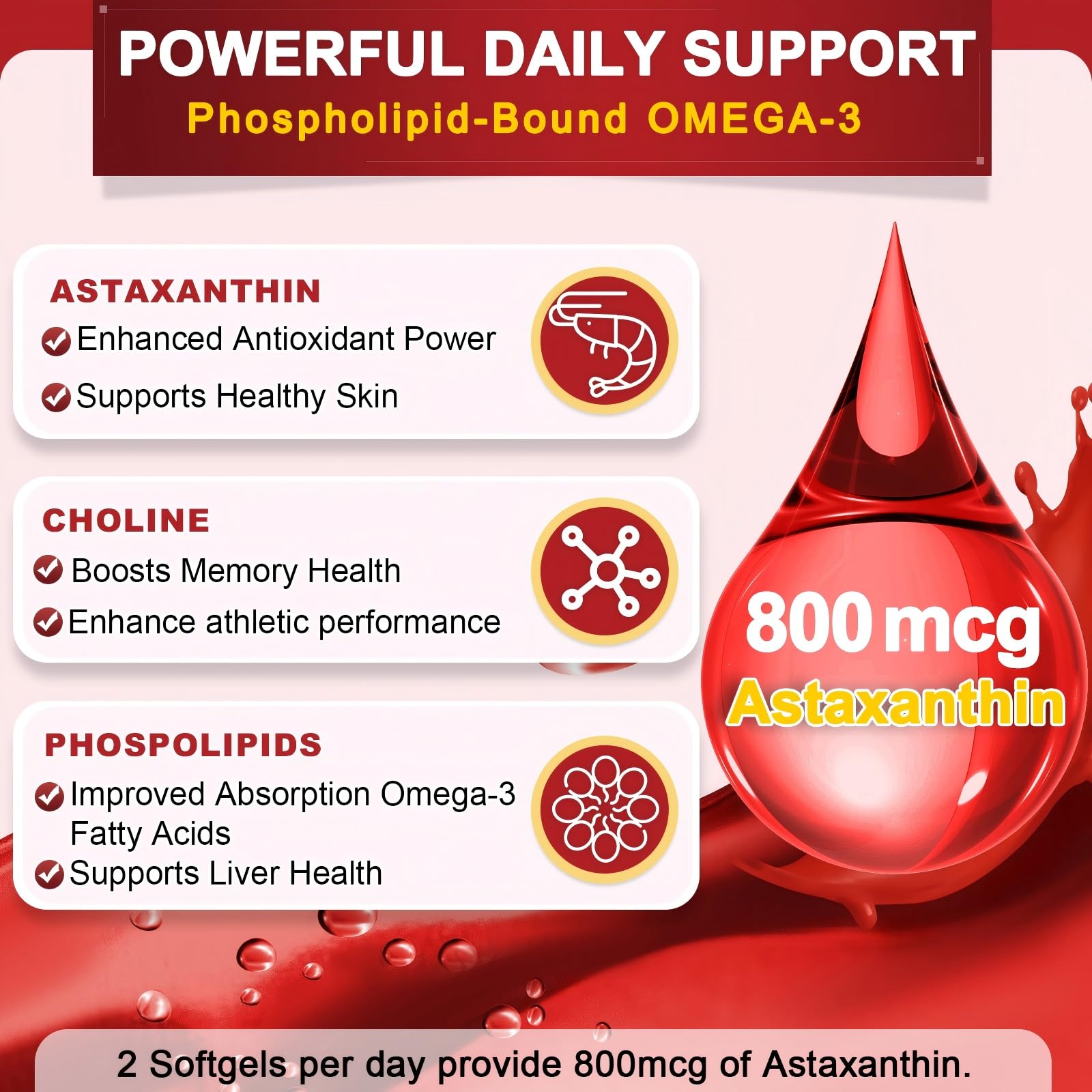 Phospholipid-bound omega-3 absorption illustration