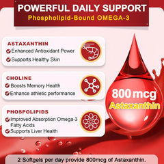 Phospholipid-bound omega-3 absorption illustration