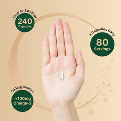 Capsules promoting brain and energy support