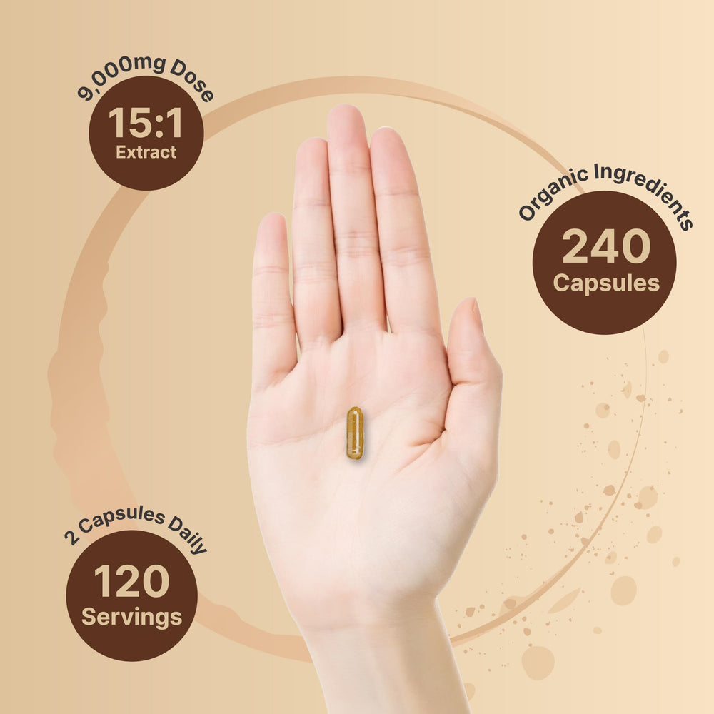 Organic Lion's Mane extract displayed for NatureBell capsules