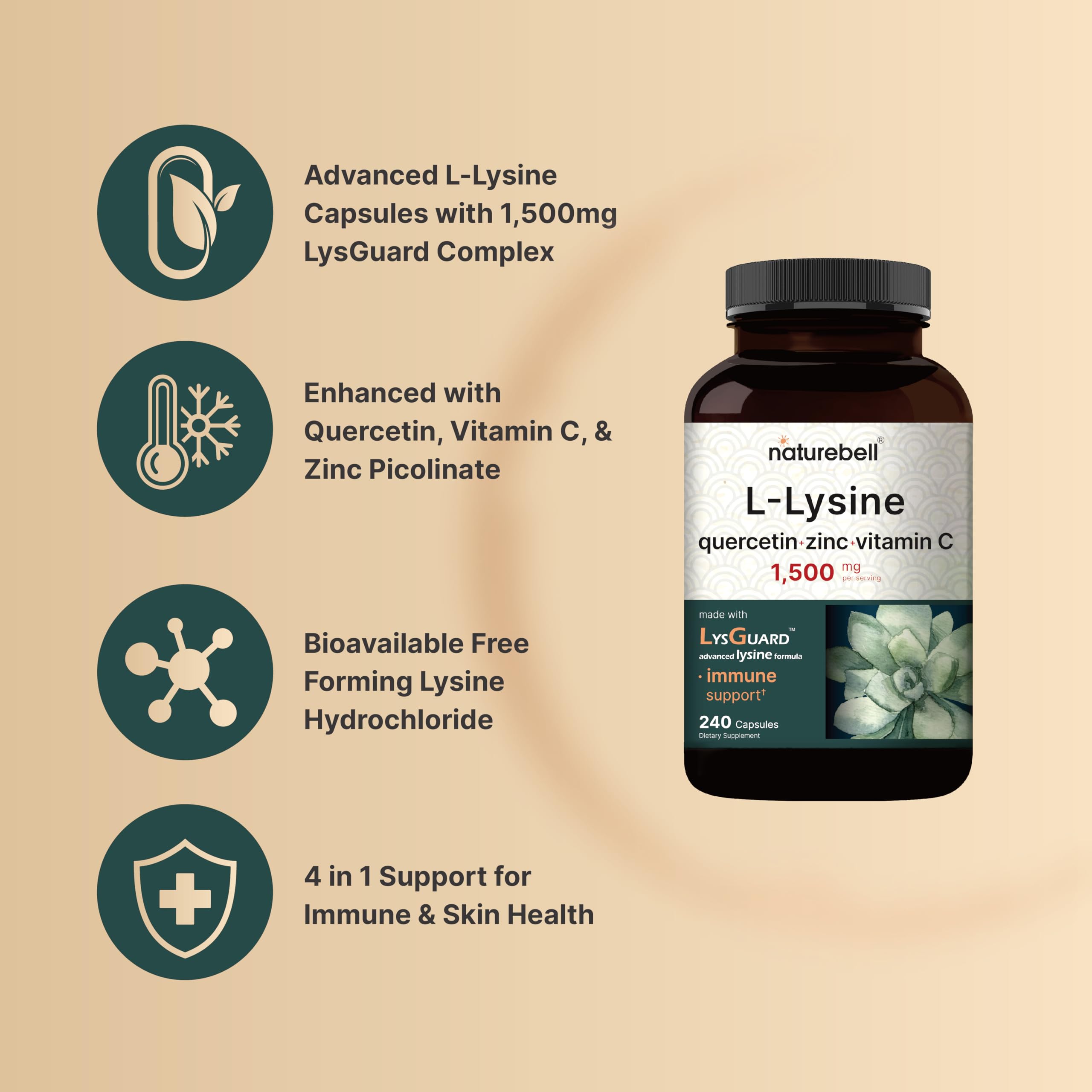 Illustration of LysGuard 4-in-1 immune-support ingredients: lysine, vitamin C, quercetin, zinc
