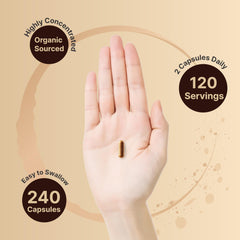 Organic Ceylon cinnamon bark extract used in NatureBell