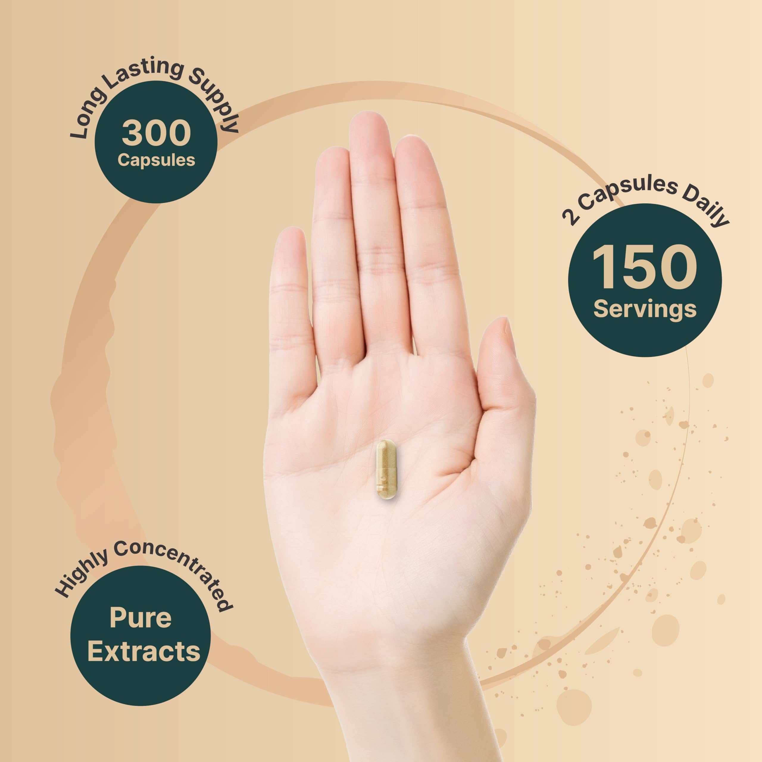 Panax Ginseng 500mg extract used in NatureBell formula