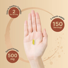 Supplement facts panel for NatureBell Quercetin 500mg