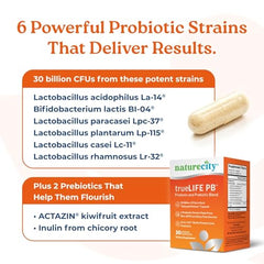 Actizin kiwi prebiotic and chicory root ingredients