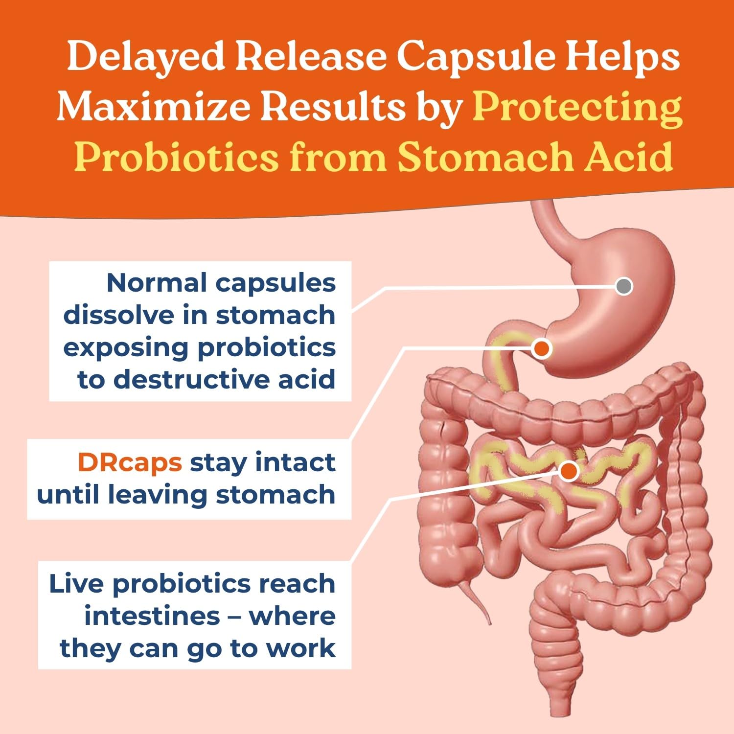 DRcaps delayed-release capsule technology