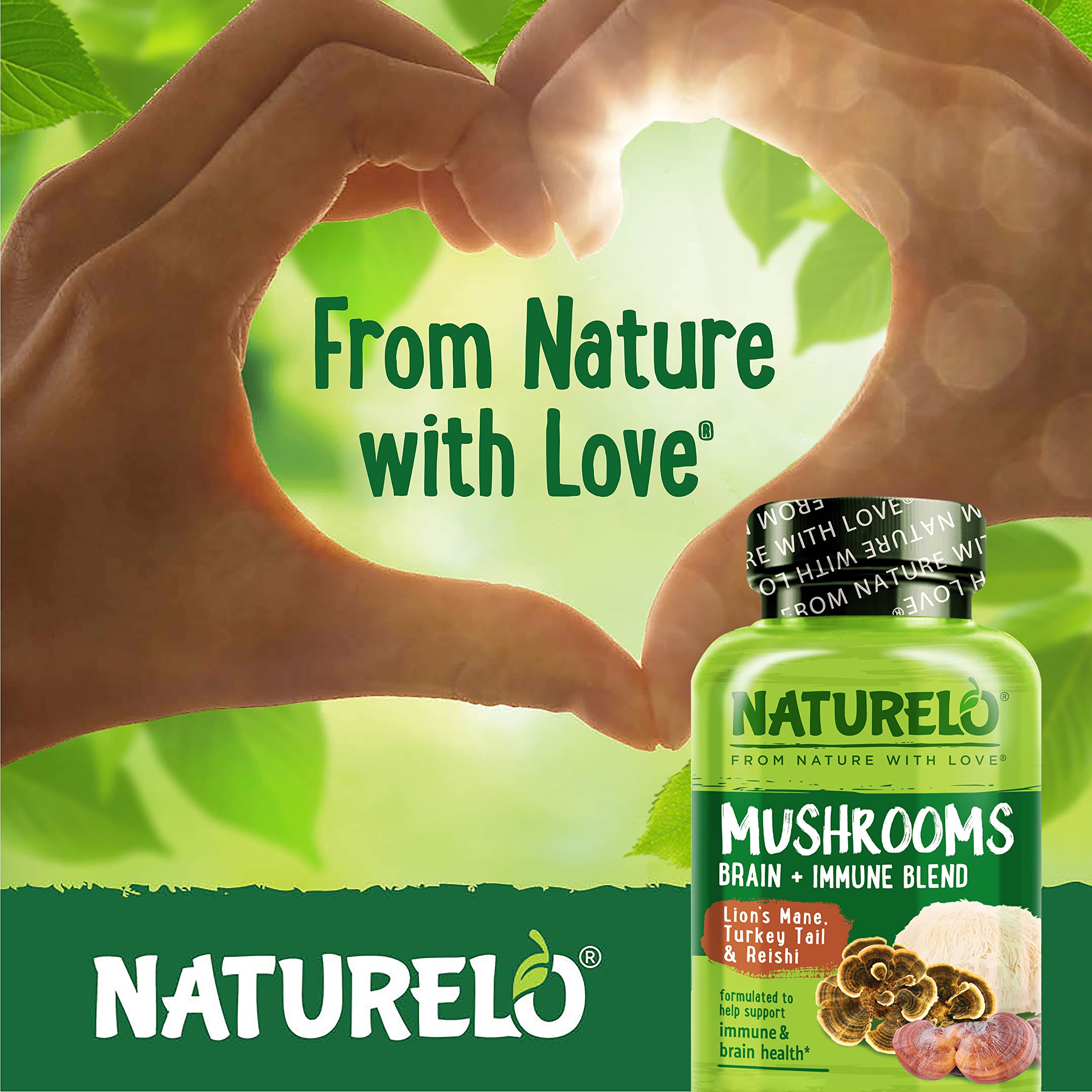 Organic mushroom extracts used in the formula