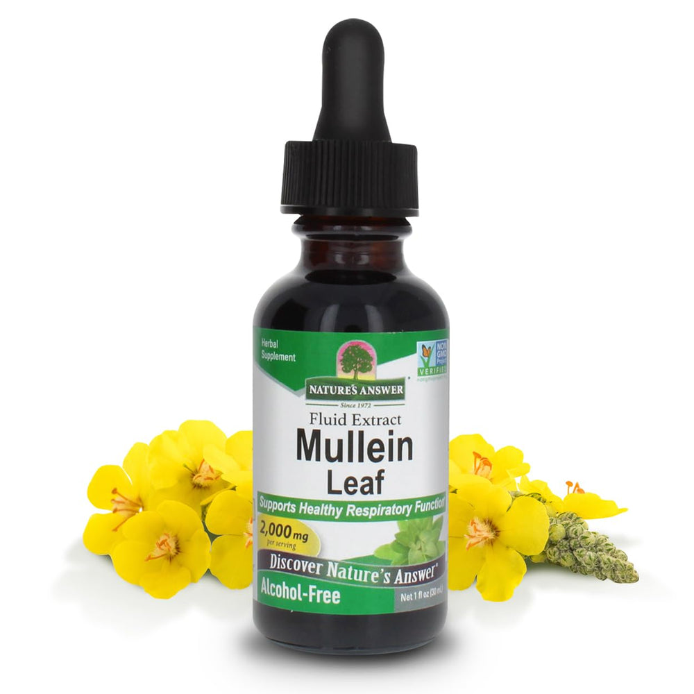 1 oz bottle of Nature's Answer Mullein Leaf Extract, alcohol-free