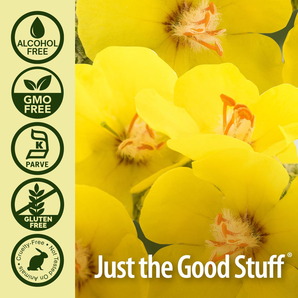 Alcohol-free Mullein Leaf Extract bottle made in the USA