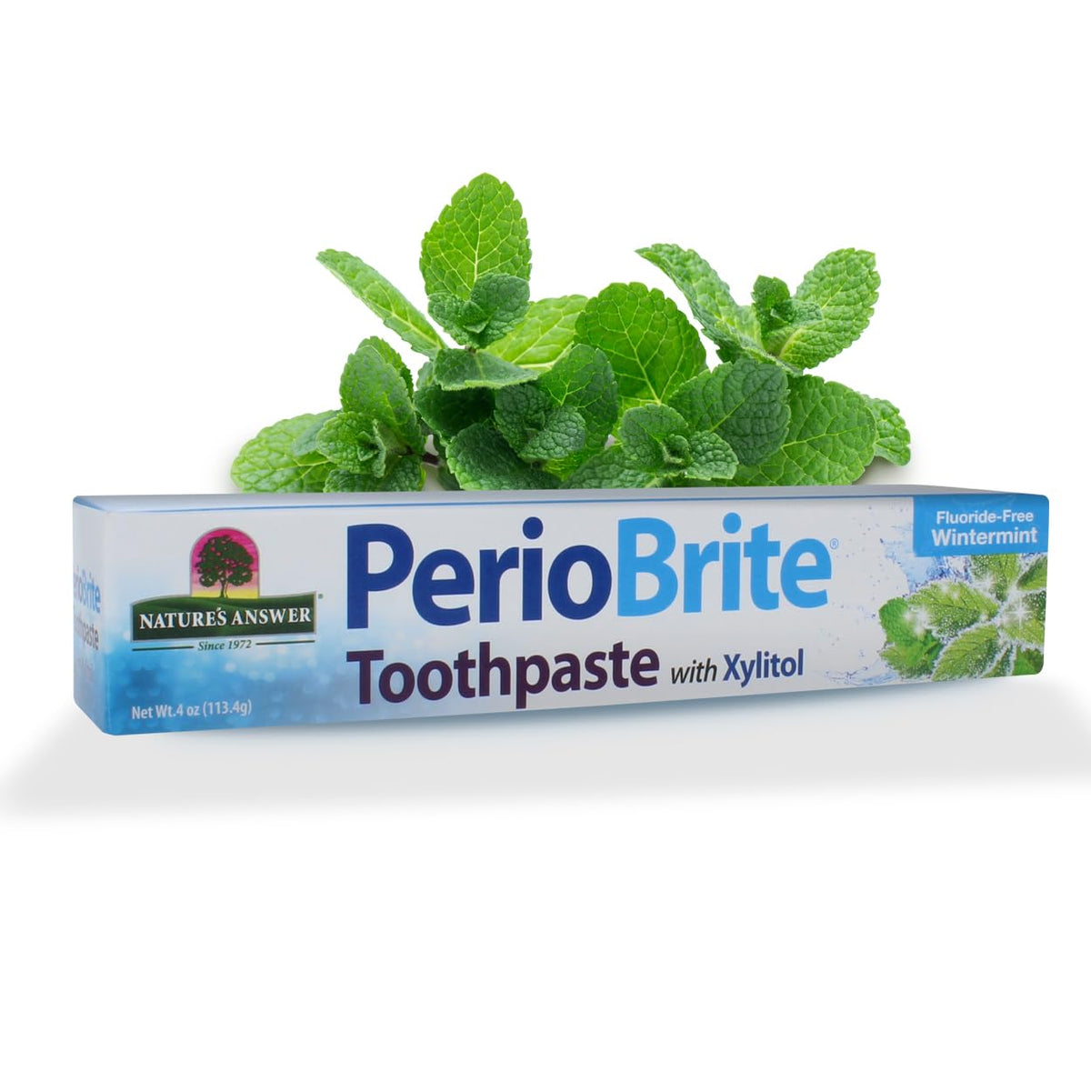 Nature's Answer Periobrite Wintermint toothpaste 4oz bottle