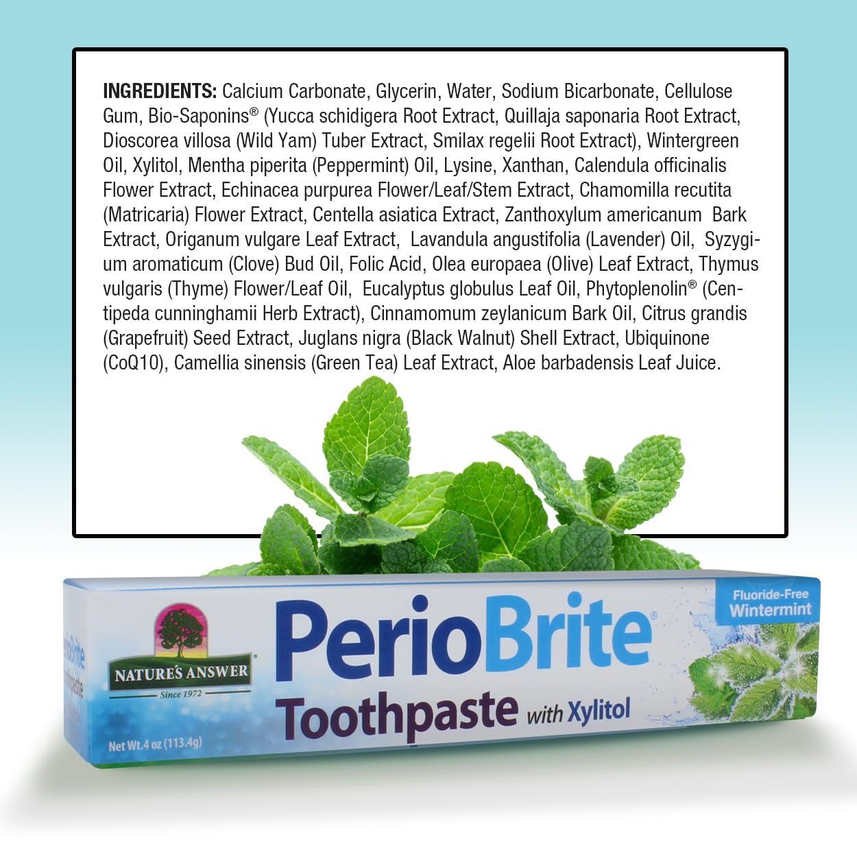 Tube of Nature's Answer Periobrite toothpaste on minty theme