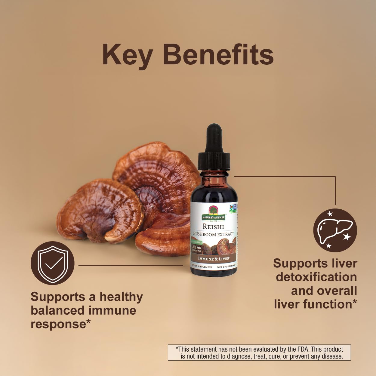 Artistic illustration of Reishi mushroom fruiting body