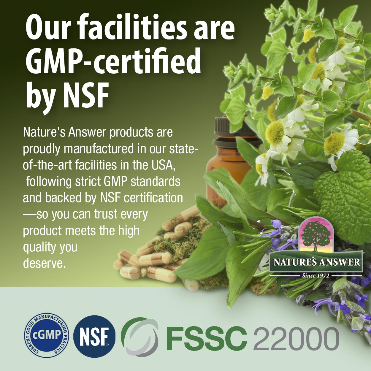 Nature's Answer urinary health concept shows potential daily wellness support.
