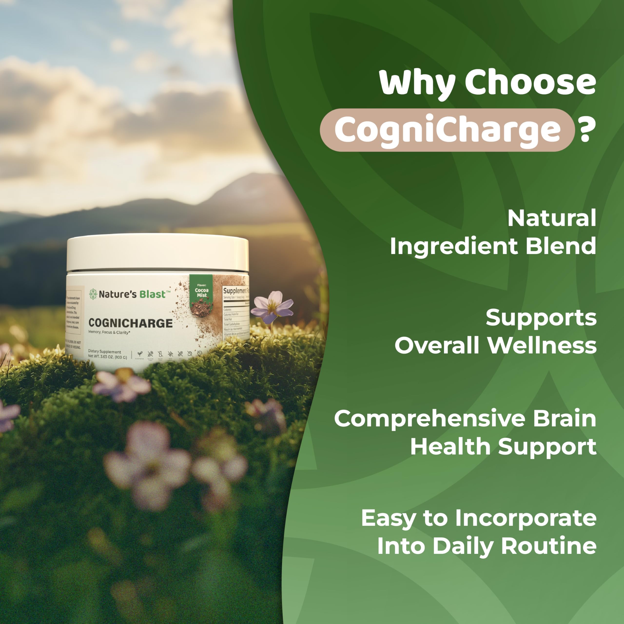 Bacopa monnieri extract ingredient for CogniCharge