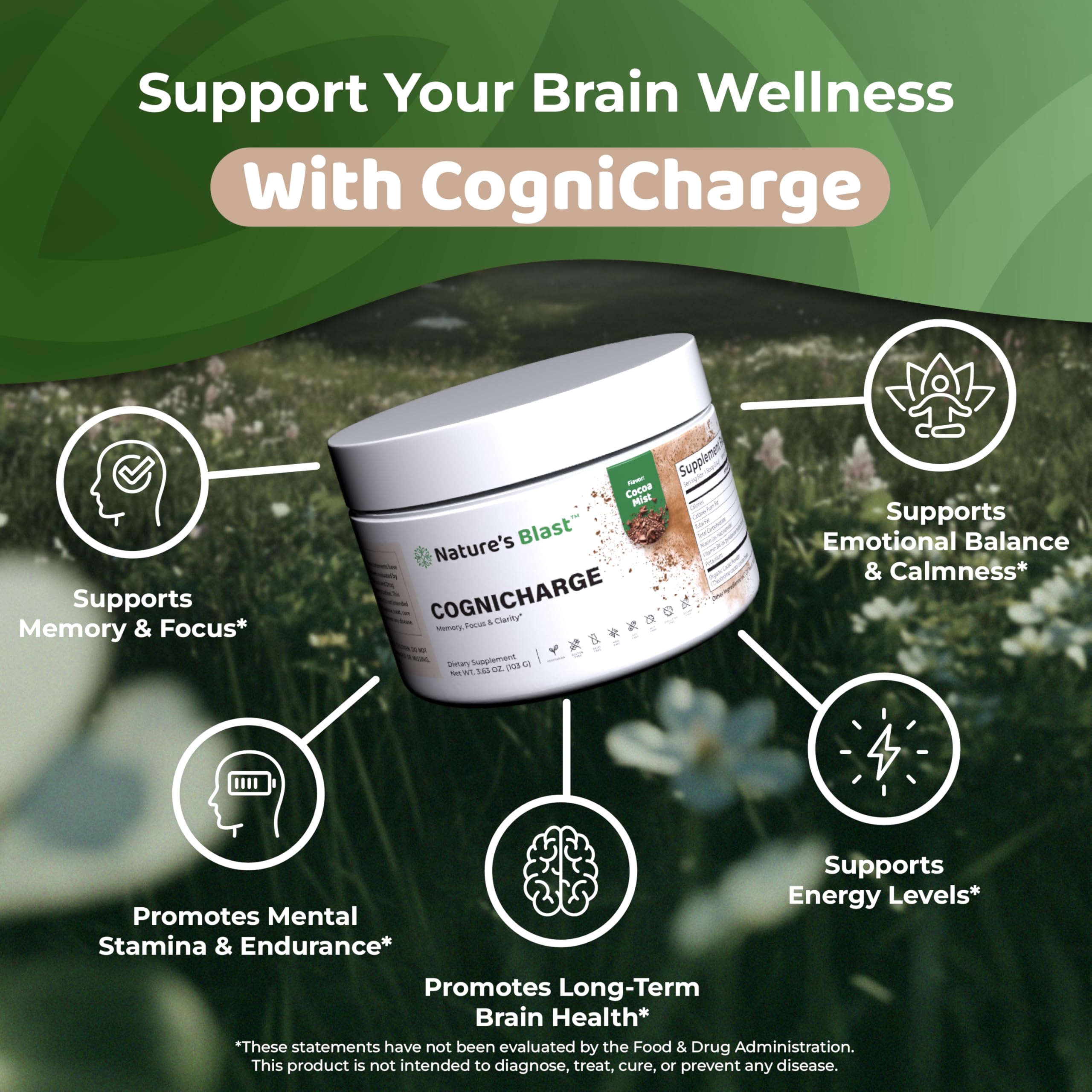 Niacin capsule in CogniCharge