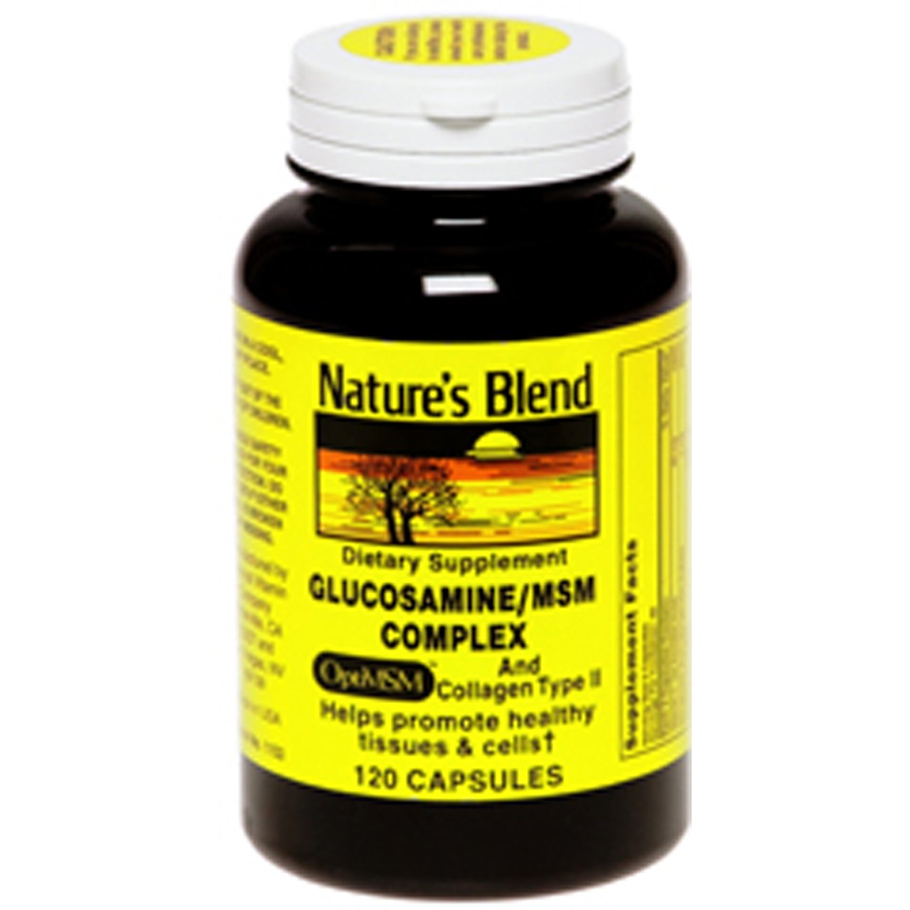 Nature's Blend Glucosamine MSM Complex with Collagen Type II packaging close-up