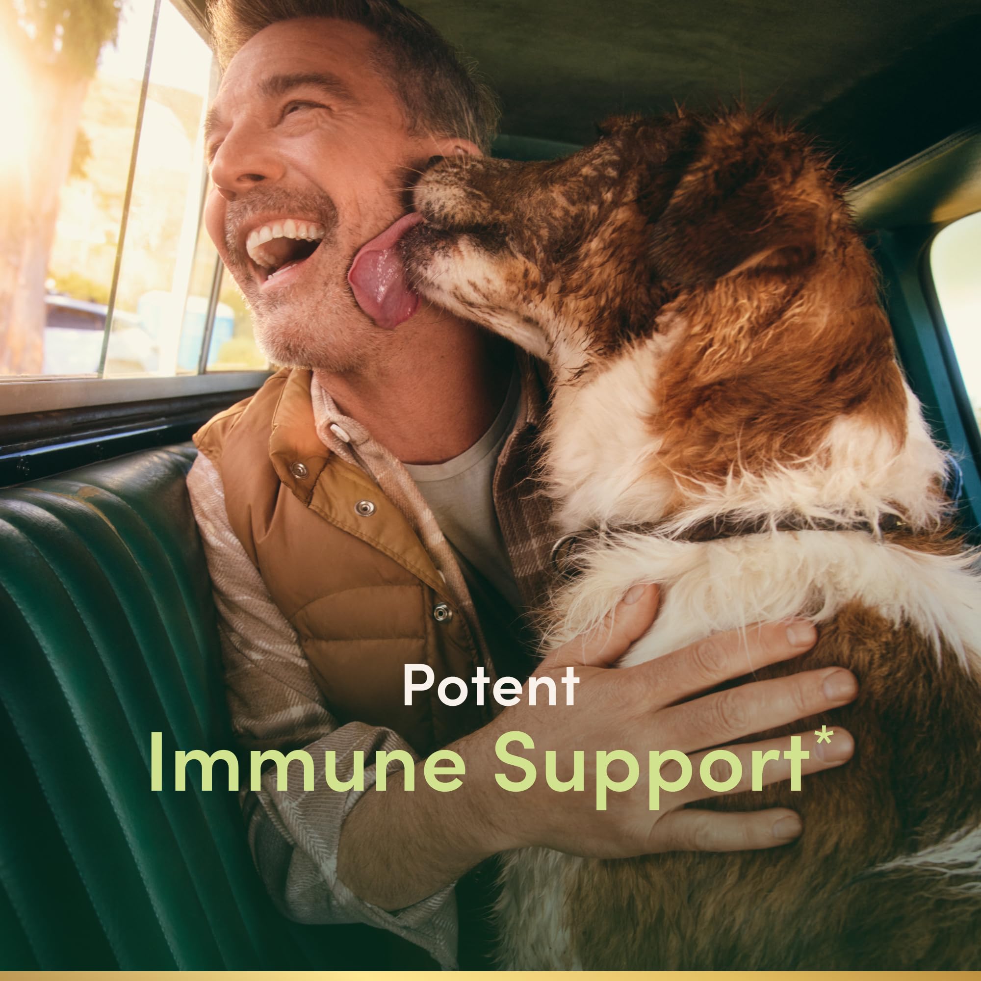 Back label of Nature's Bounty Quercetin 500mg immune support bottle