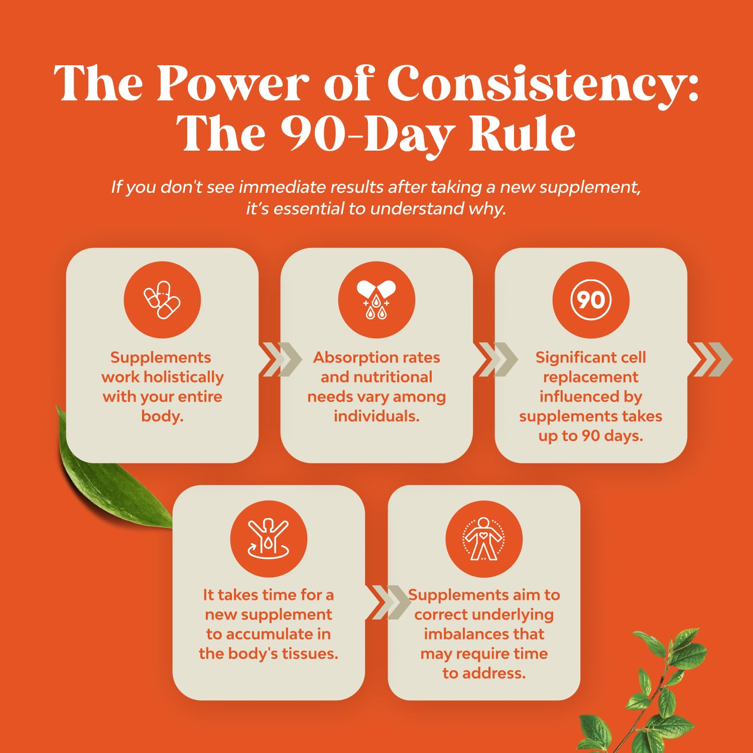 240 count bottle of Natures Craft Antarctic Krill Oil