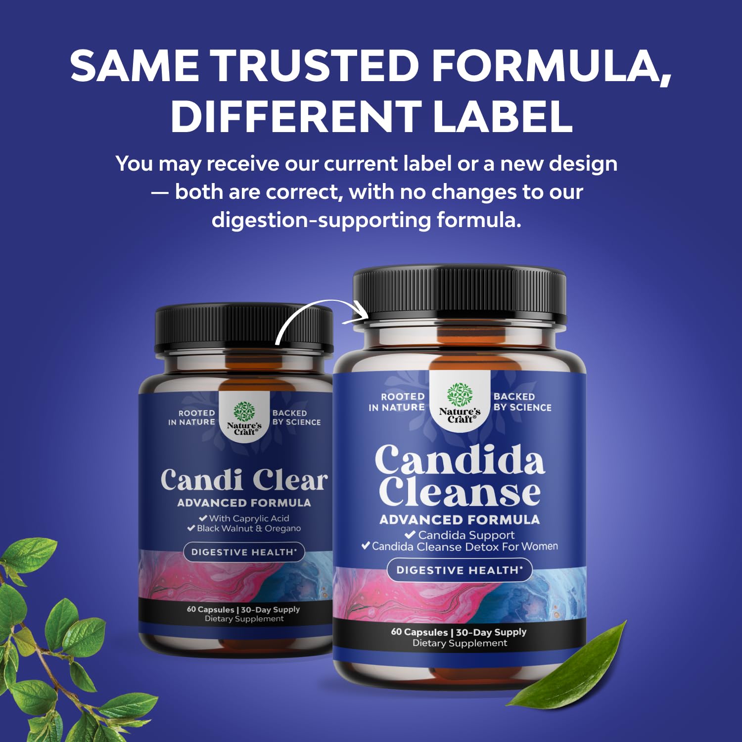 Natures Craft Candi-Clear capsules close-up for daily gut balance and comfort.