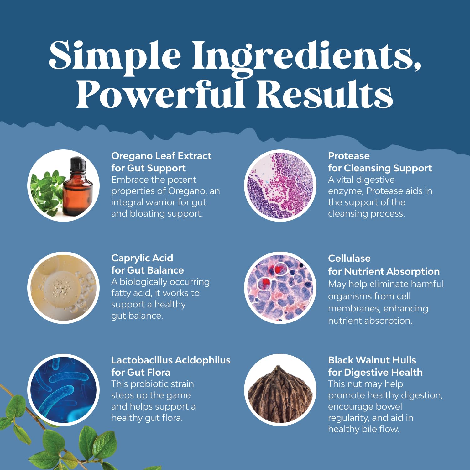 Natures Craft Candida Cleanse capsules with probiotics for digestion.