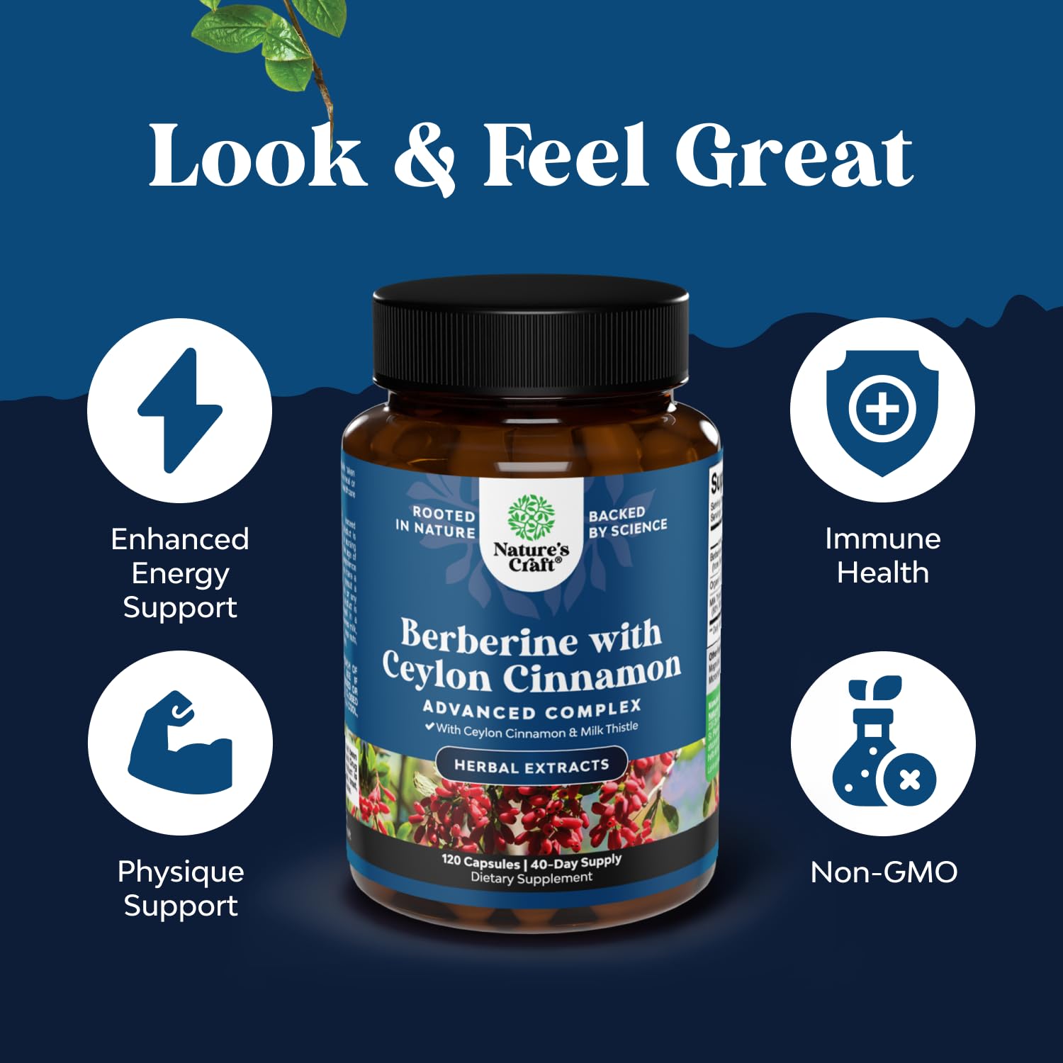 Natures Craft Milk Thistle Extract visual emphasizing Silymarin blend for immune support.