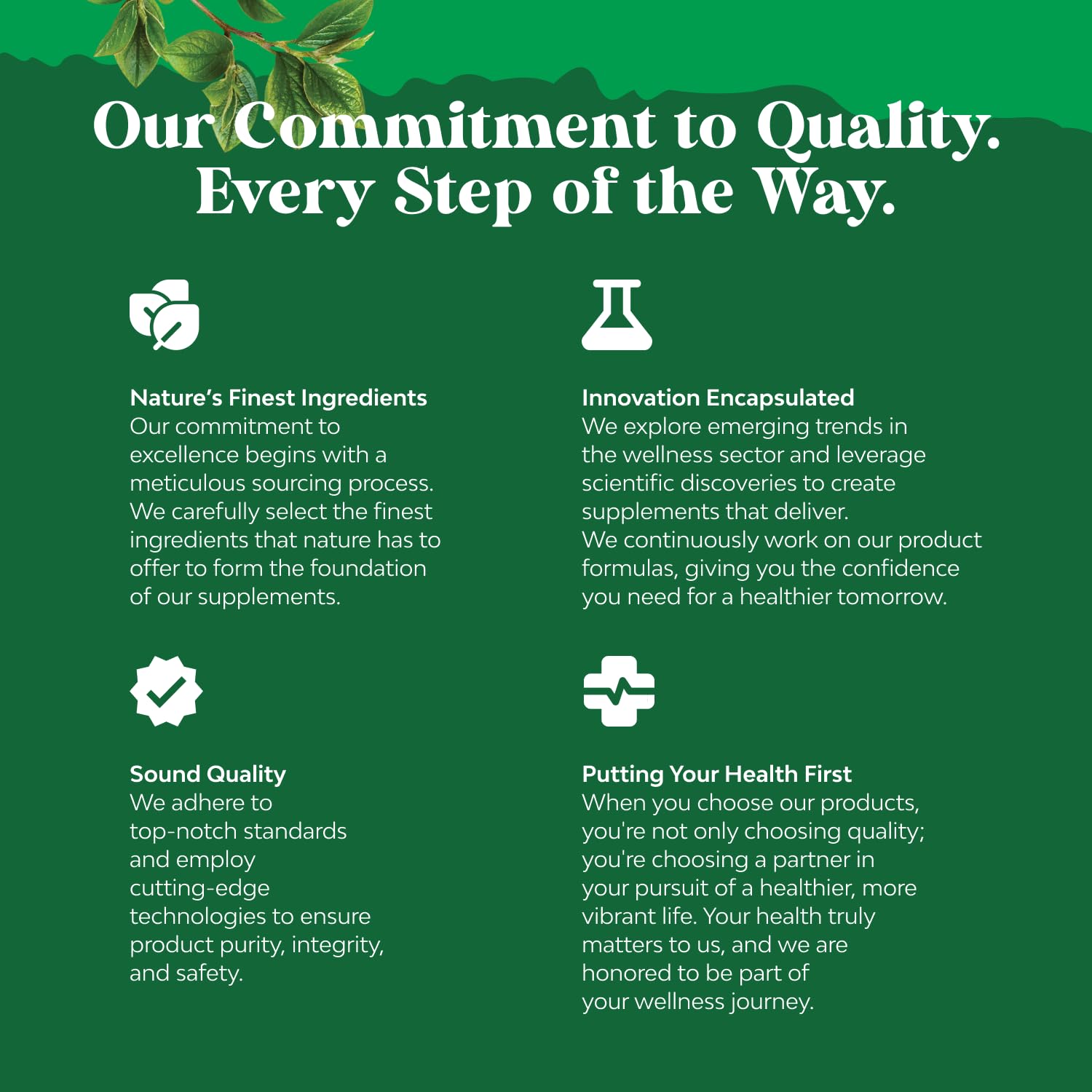 Natures Craft Tudca energy and brain support concept visualizes clearer focus.