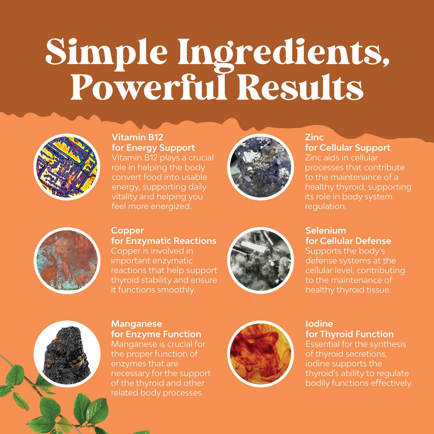 Advanced formula with L-tyrosine and B12 for energy