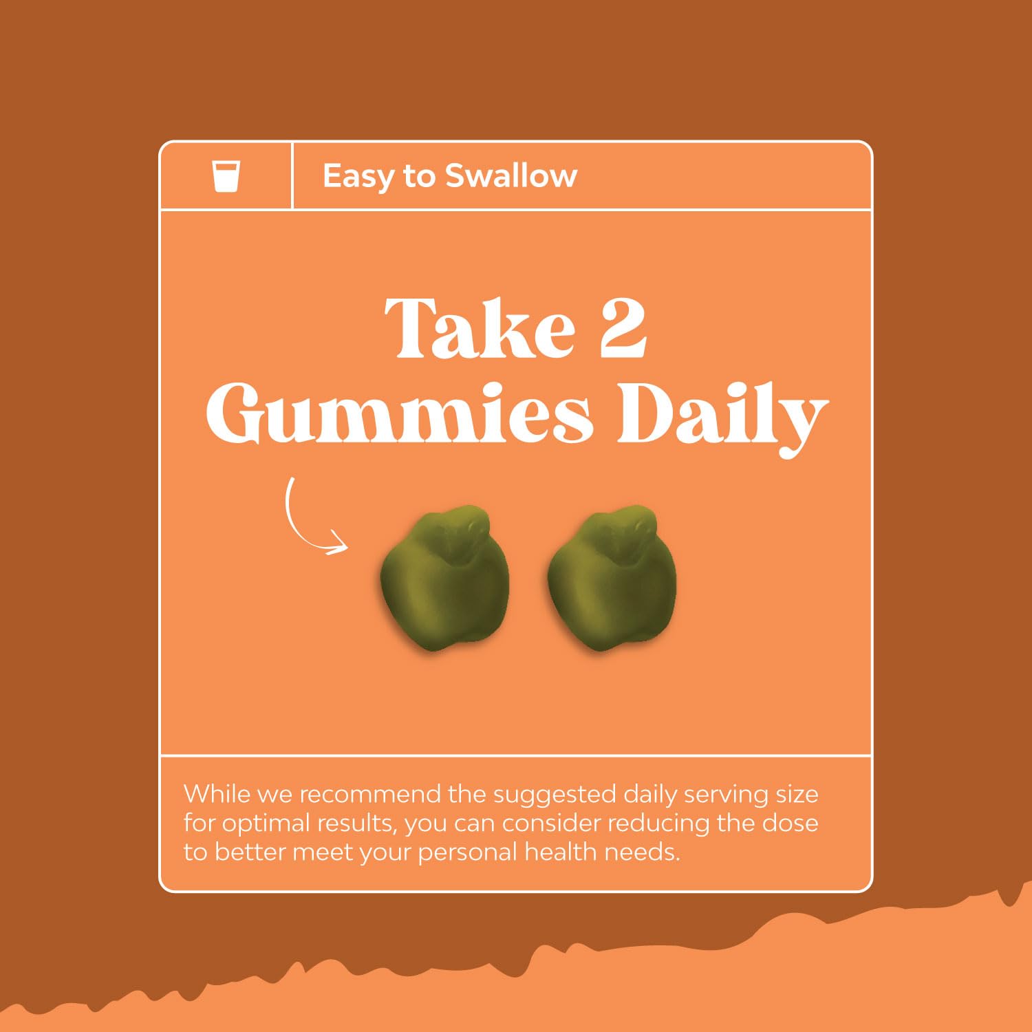 Gummies arranged with sea moss leaves for natural appeal