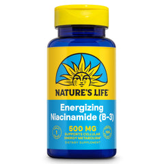 Nature's Life Niacinamide 500mg bottle - front view