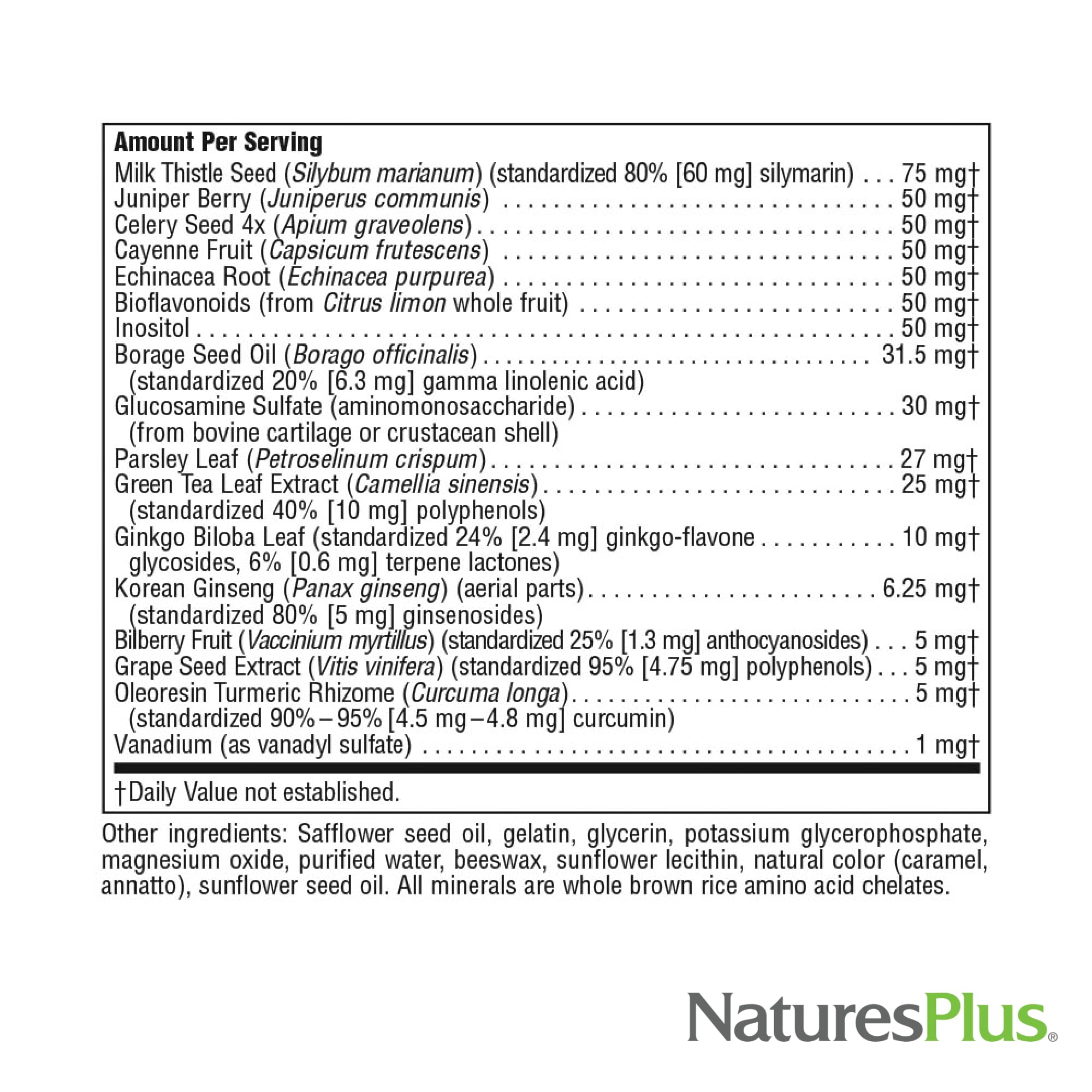 Product image showing Regeneration Multivitamin 90 Softgels pack shot