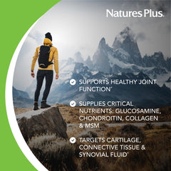 Label of Ultra Rx-Joint Liquid highlighting key ingredients glucosamine, chondroitin and MSM.