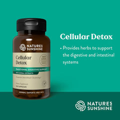 Close-up of Cellular Detox ingredients: gentian root, irish moss algae, cascara sagrada bark, fenugreek seeds