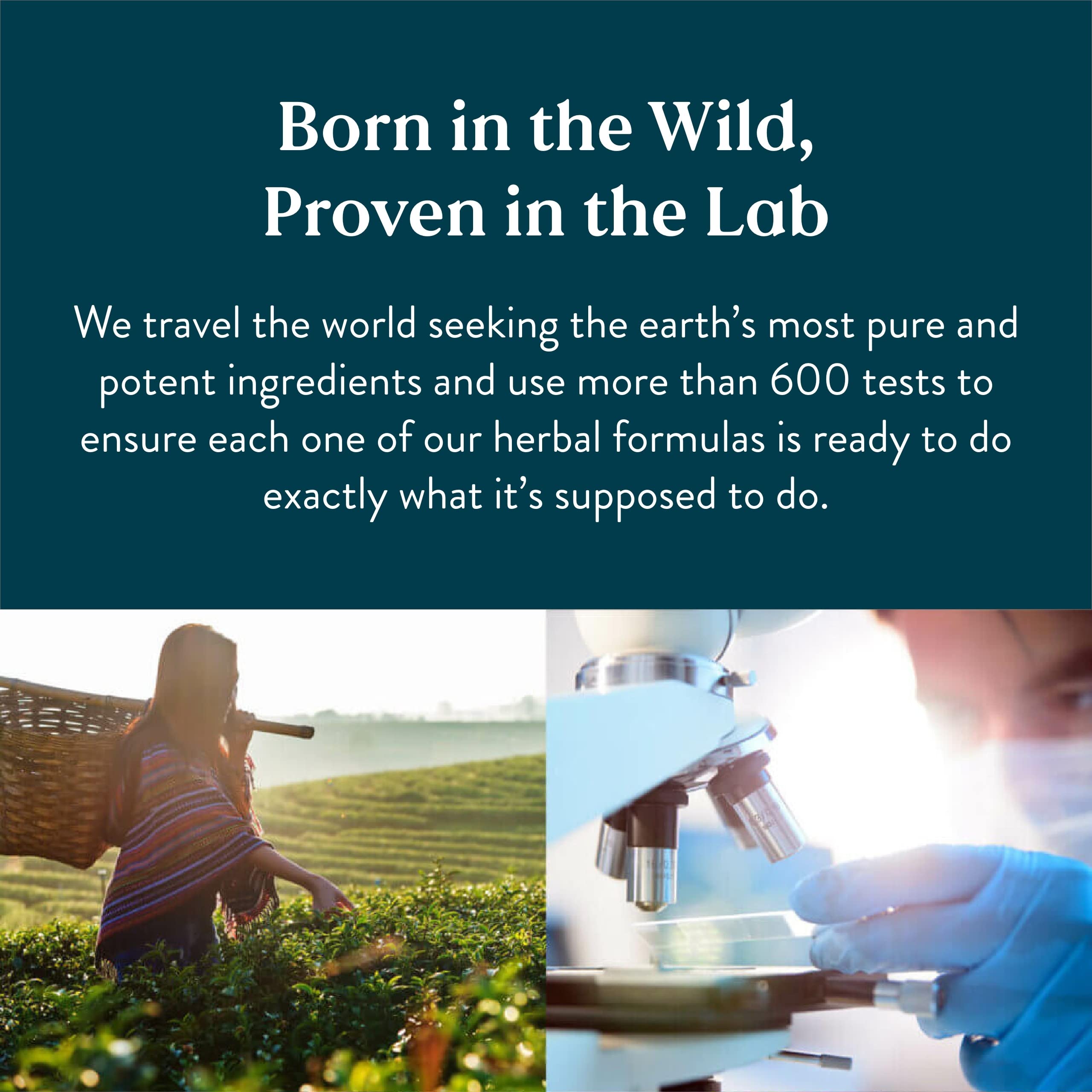 Back label and supplement facts for Nature's Sunshine C-X (100)