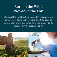 Back label and supplement facts for Nature's Sunshine C-X (100)