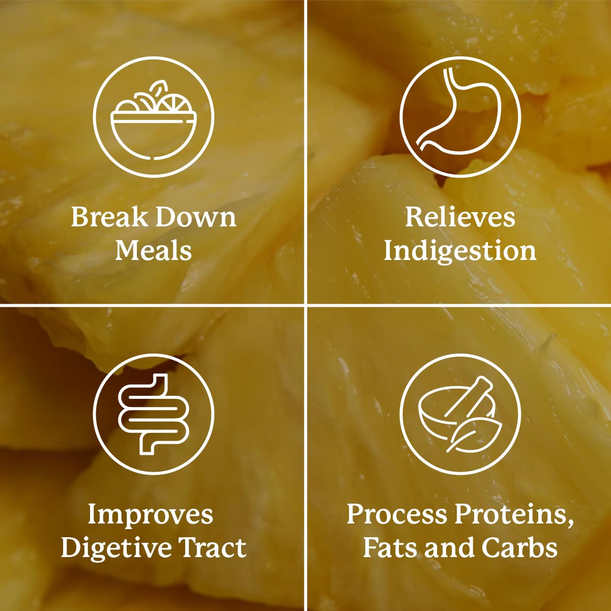 Pepsin and bile salts in Nature's Sunshine Food Enzymes