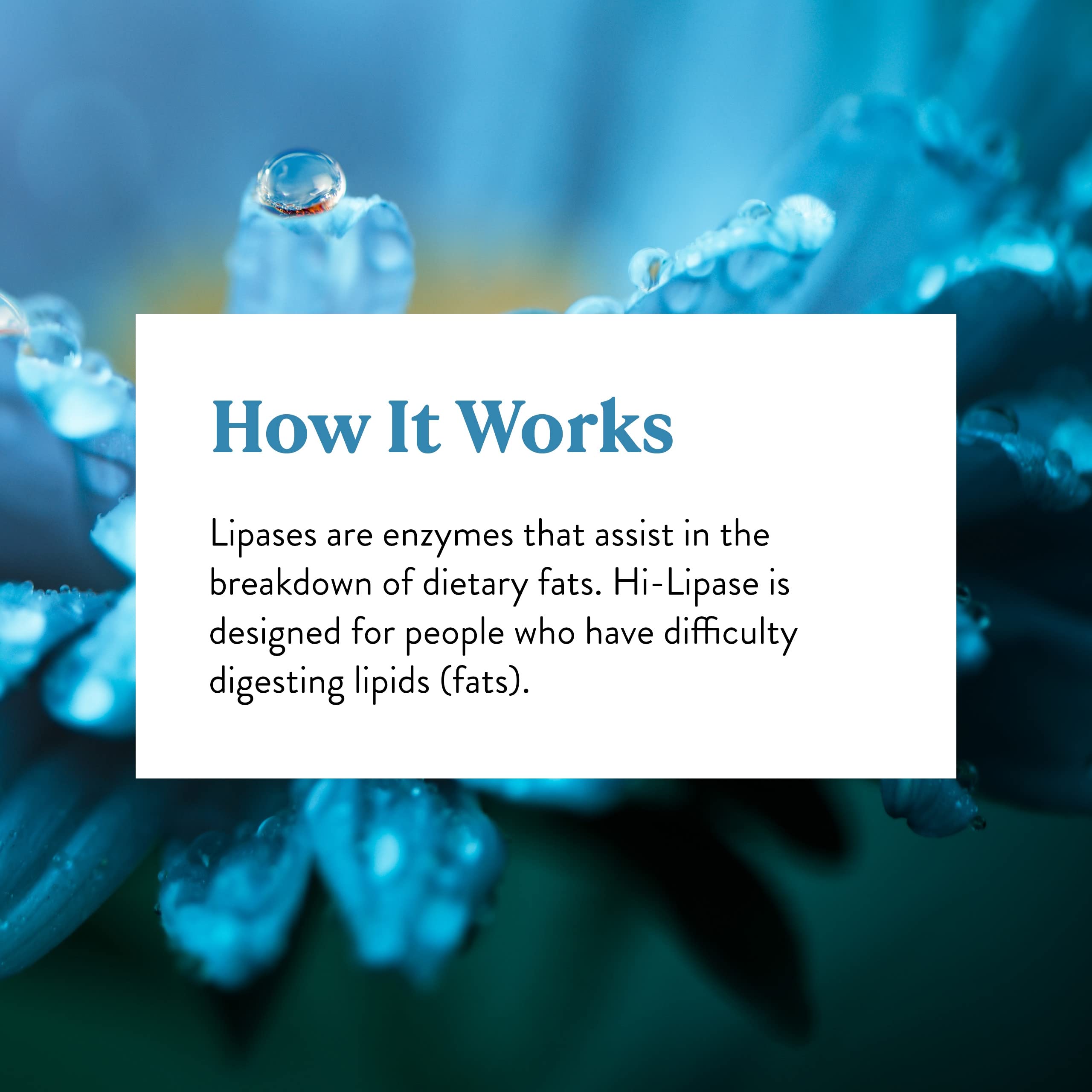 Fat digestion enzyme concept with lipase