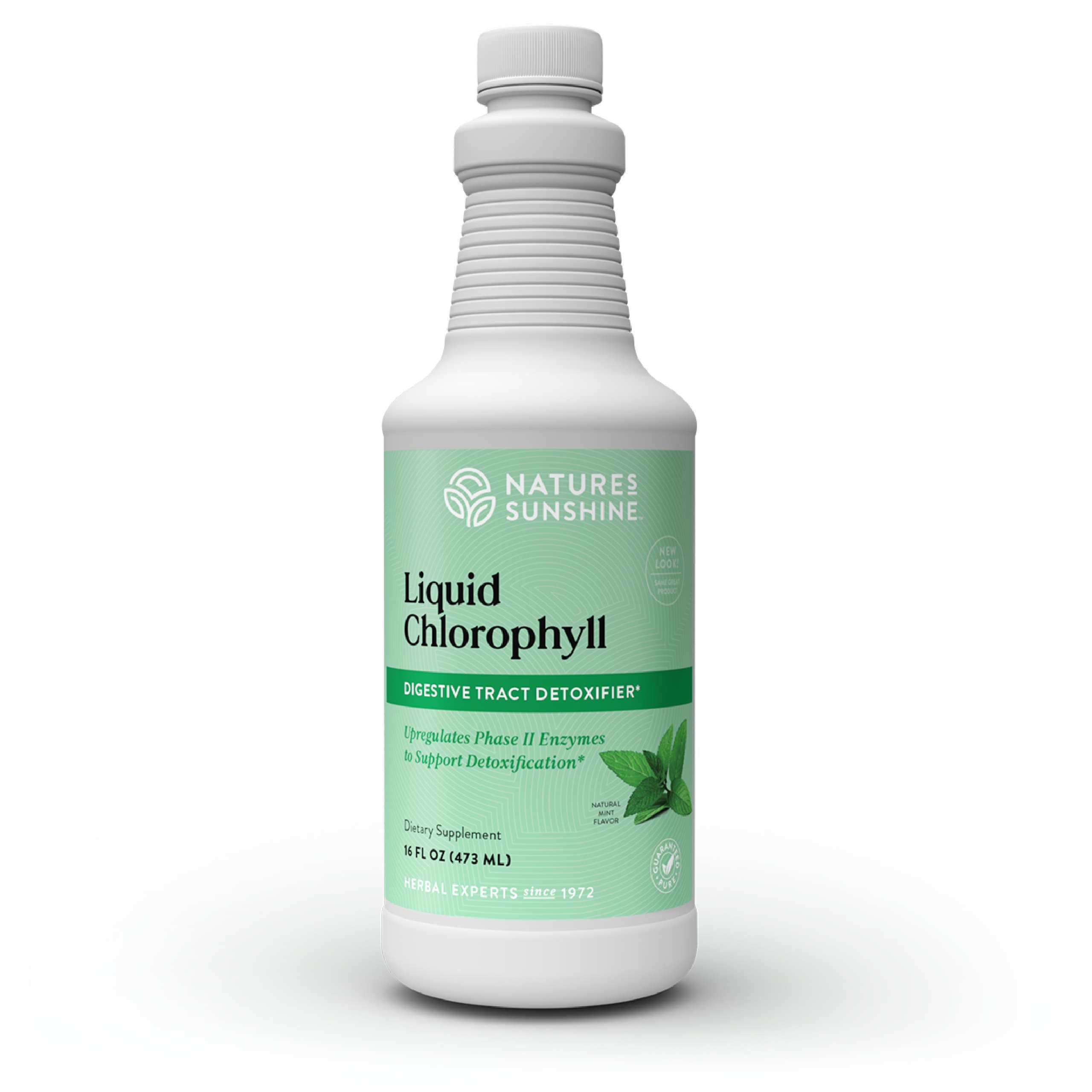 Hero image of Nature's Sunshine Liquid Chlorophyll 16 oz