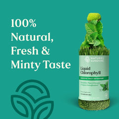 Detox and gut health illustration with chlorophyll