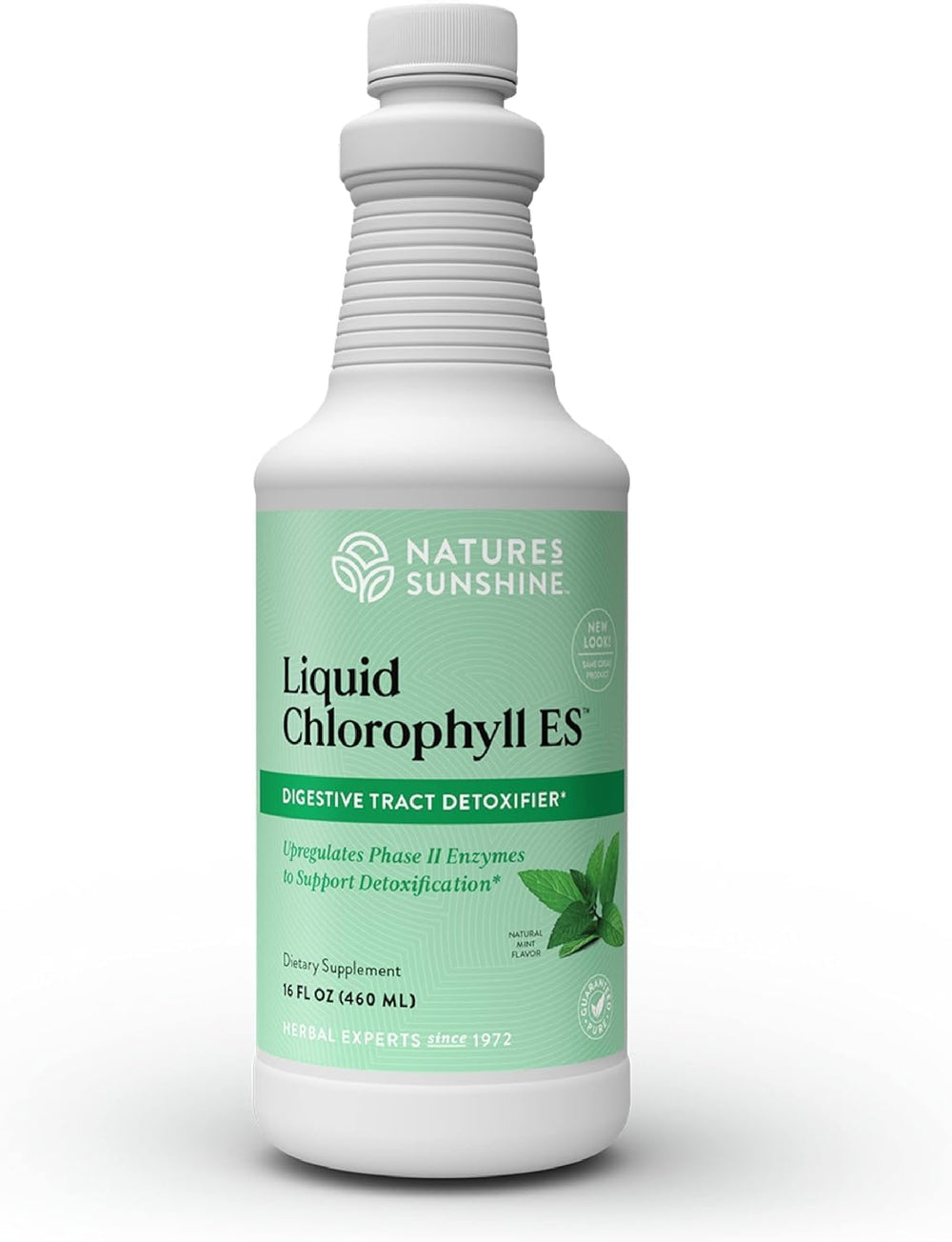 Nature's Sunshine Liquid Chlorophyll Extra Strength bottle front view