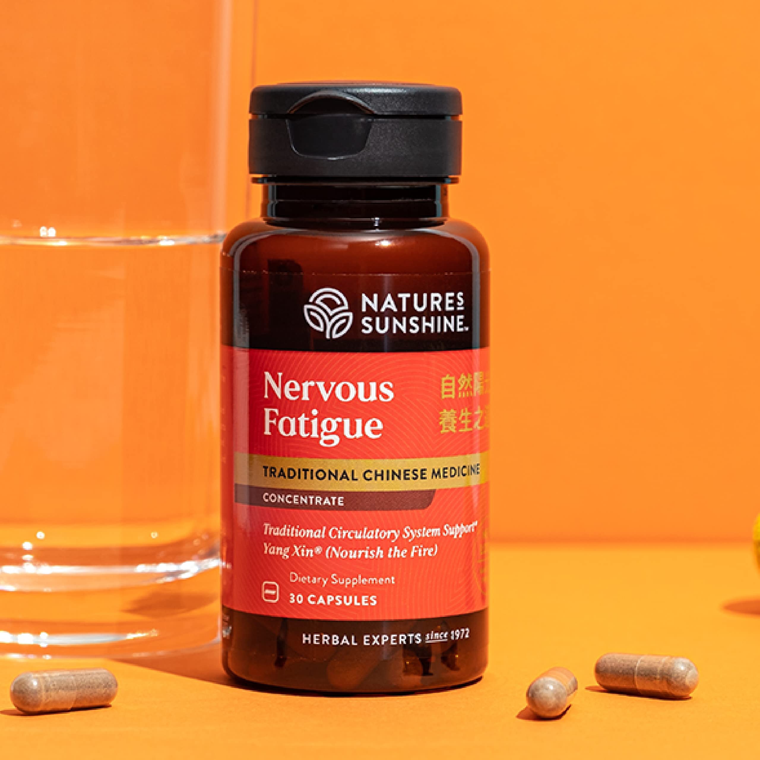Nervous Fatigue TCM Concentrate label close-up