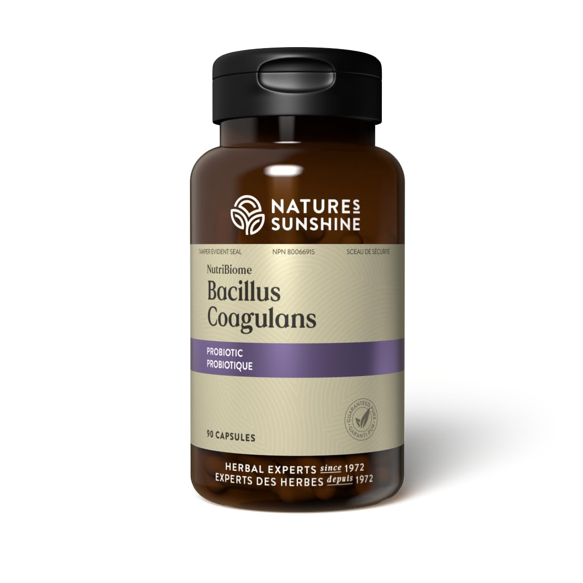 Nature's Sunshine Nutribiome Bacillus Coagulans probiotic bottle
