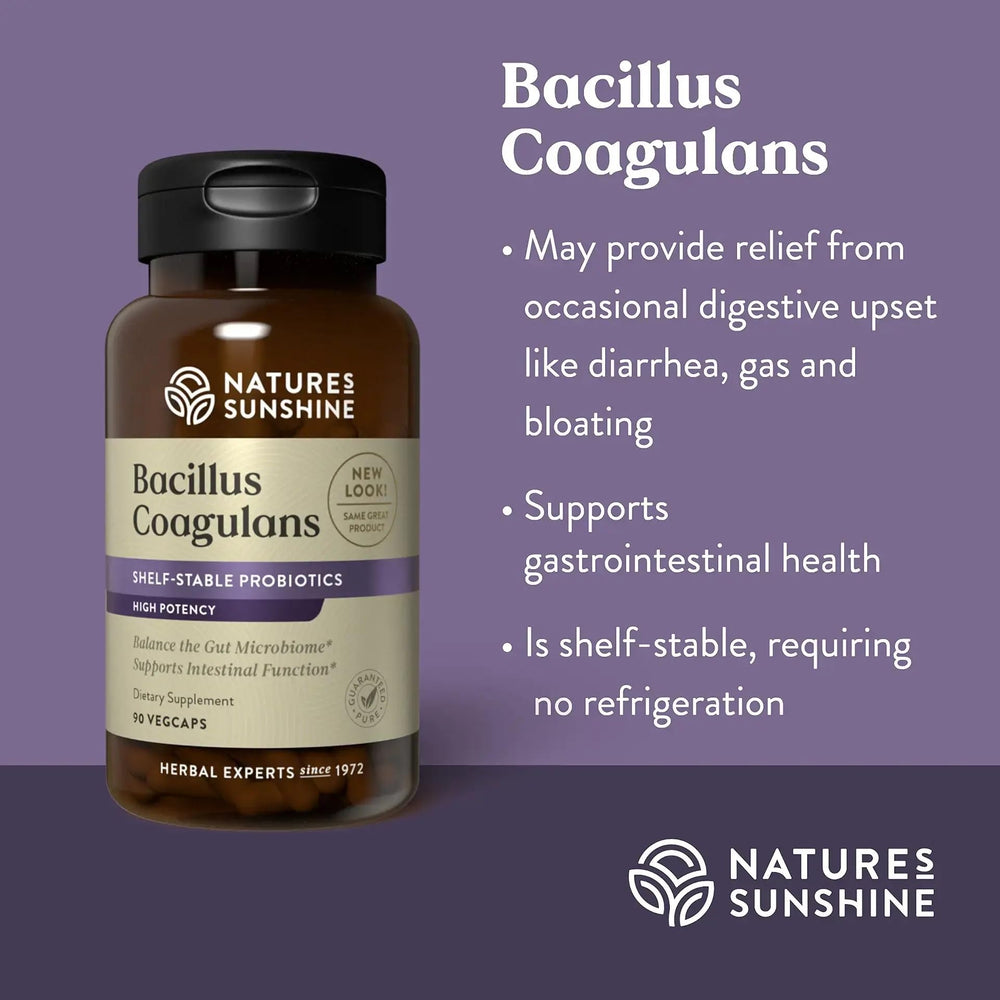 Close-up of Bacillus Coagulans probiotic capsules