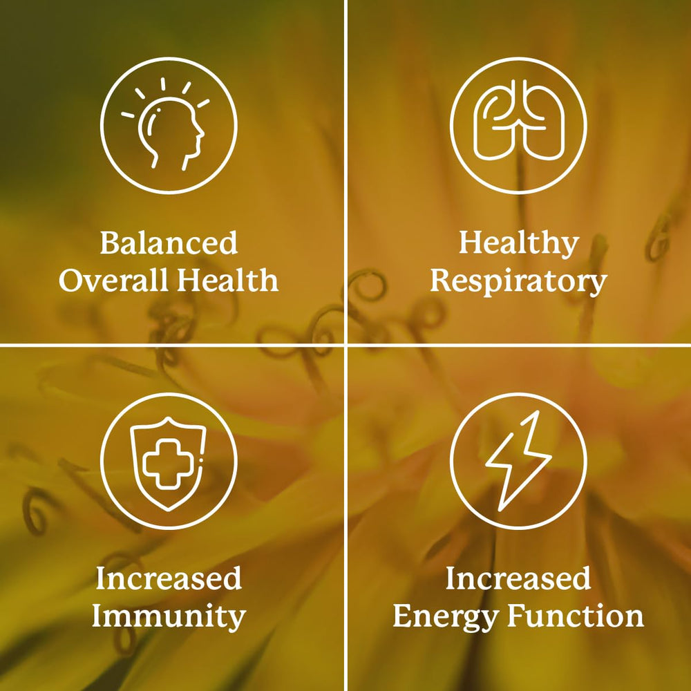 Herbal ingredients used in VS-C TCM concentrate