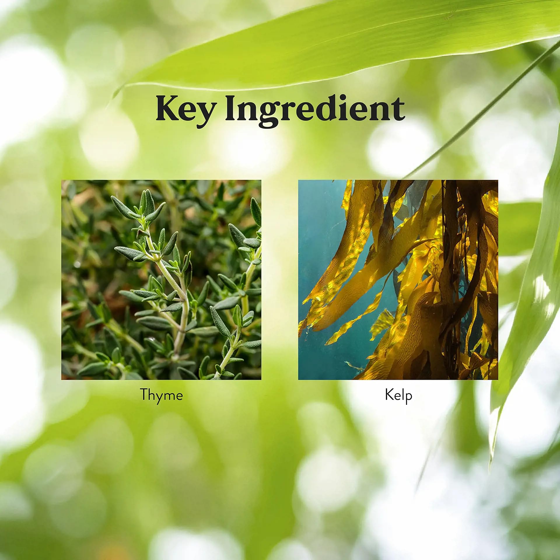 Graphic illustrating zinc immune support benefits