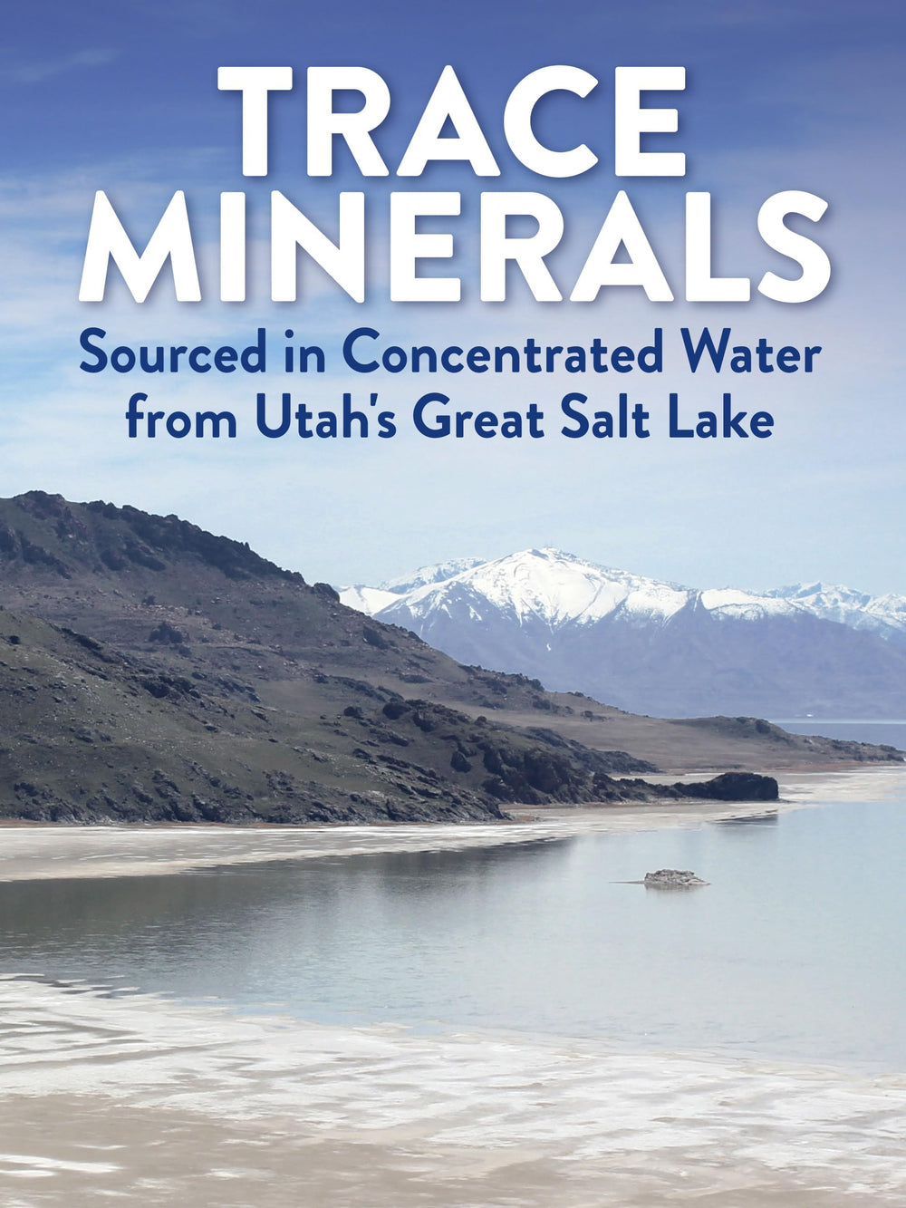Graphic highlighting electrolytes and trace minerals