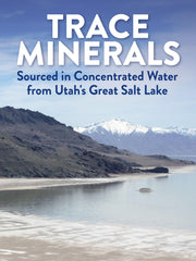 Graphic highlighting electrolytes and trace minerals