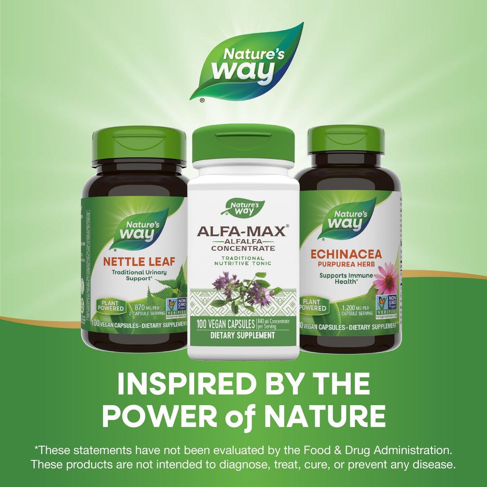 Alfalfa plant with leaves and stems for Alfa-Max presentation