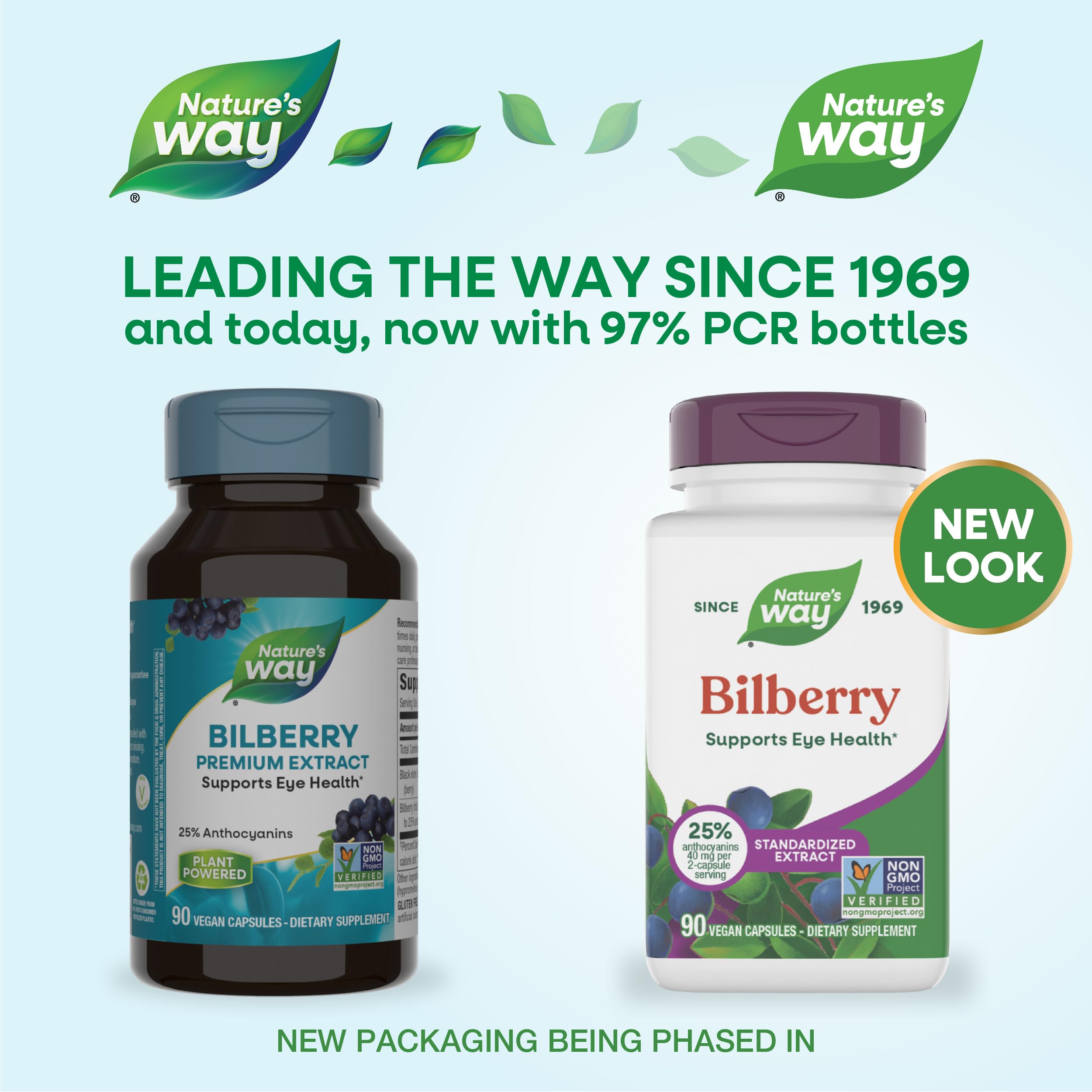 Close-up of Bilberry Premium Extract capsules