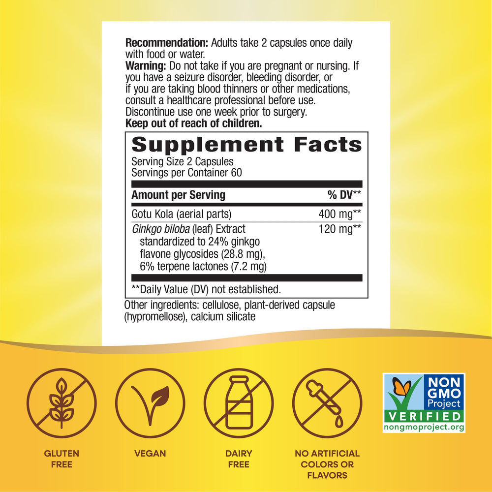 Close-up of Ginkgo extract label showing 24% flavone glycosides and 6% terpene lactones